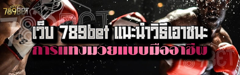 เว็บ 789bet แนะนำวิธีเอาชนะการแทงมวยแบบมืออาชีพ