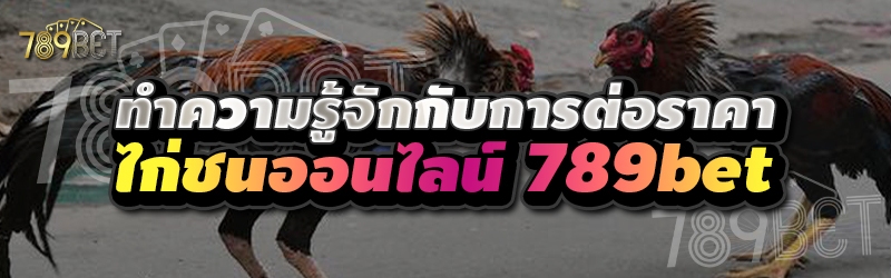 ทำความรู้จักกับการต่อราคาไก่ชนออนไลน์ 789bet