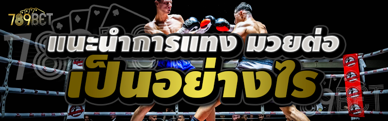 แนะนำการแทง มวยต่อ เป็นอย่างไร