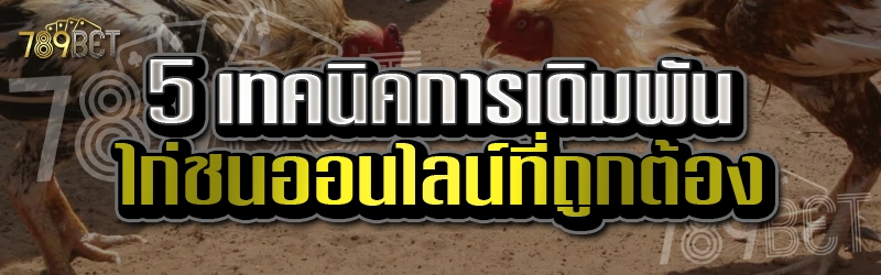 ไก่ชนออนไลน์