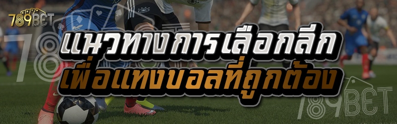 แนวทางการเลือกลีกเพื่อแทงบอลที่ถูกต้อง